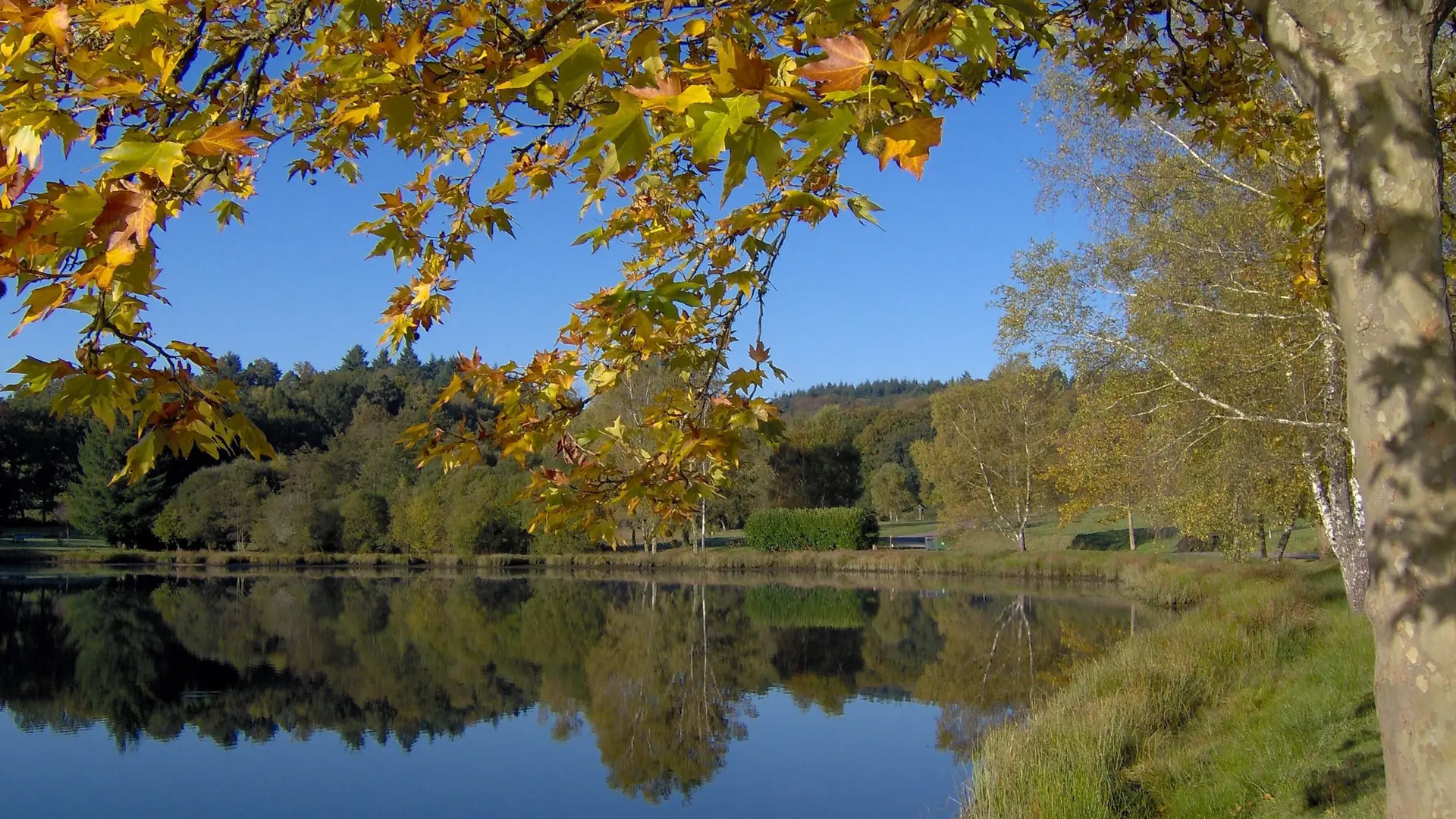 plan d'eau communal de la planche à Sauviat sur Vige pêche et balade dans la nature en famille