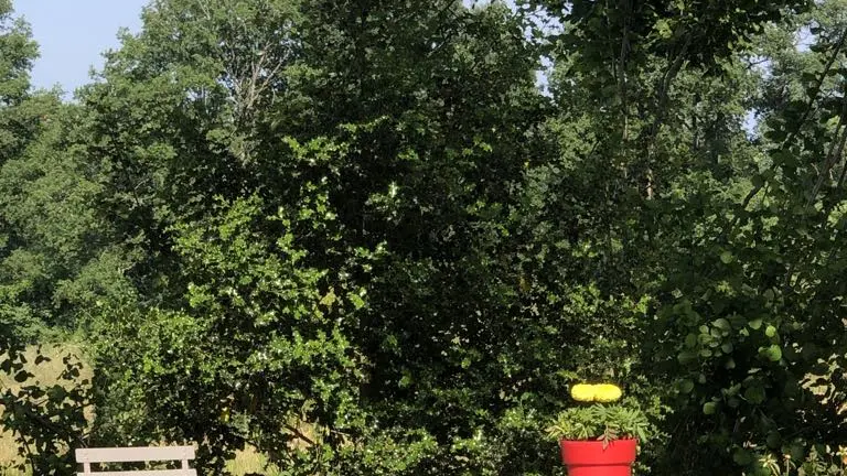 prendre une boisson sous les arbres à la ferme de fardissou
