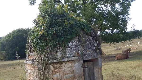 puits en pierre