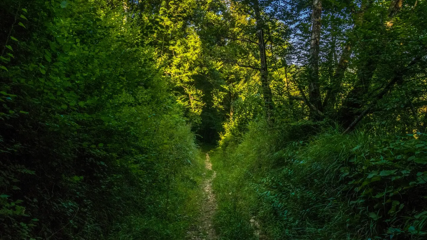 rando-pau-aubertin-de-la-helere-a-la-baise-03