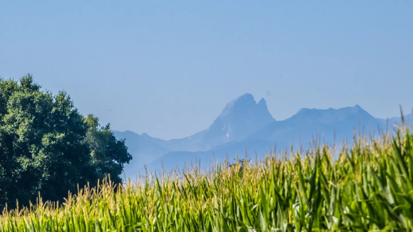 rando-pau-bougarber-plaine-uzan-06