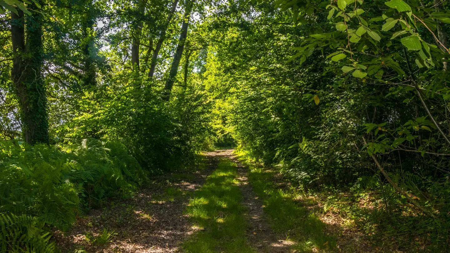 rando-pau-uzein-boucle-hialere-04