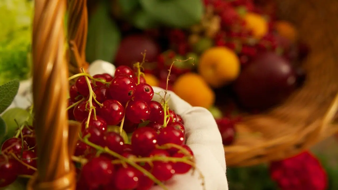 red-currant