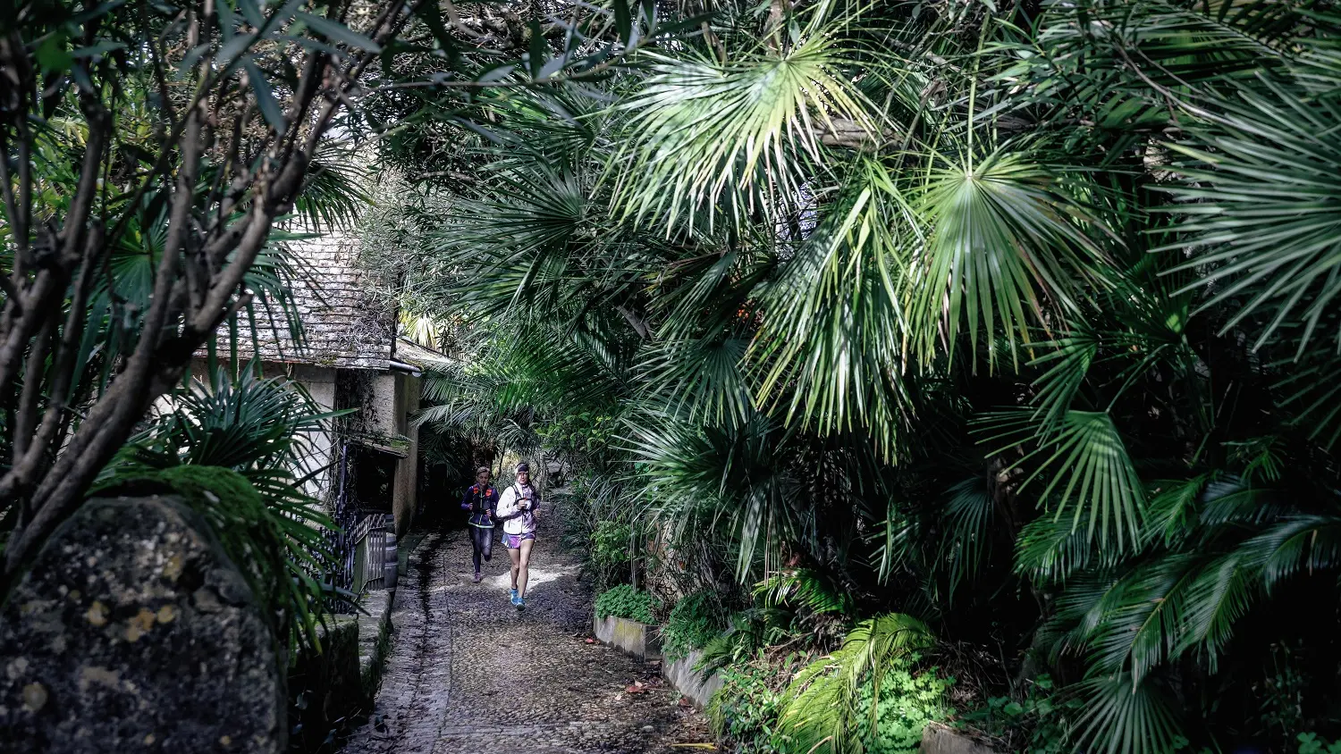 redim@Cyrille Quintard-naturetrail-dordogneJ1-2010