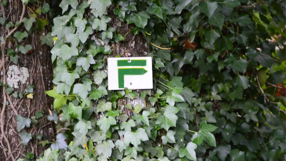 Sur les sentiers de Flavignac