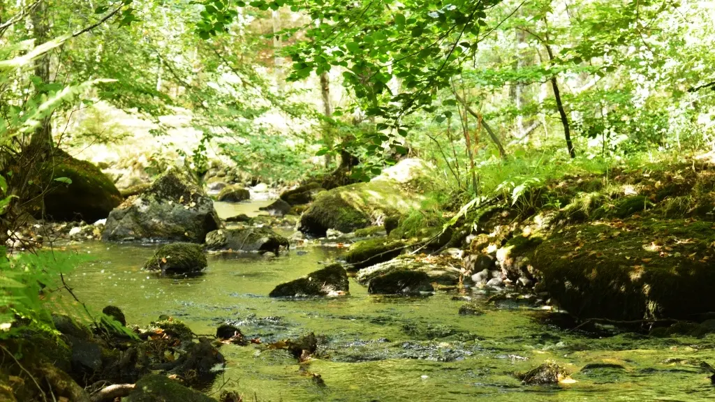 rivière