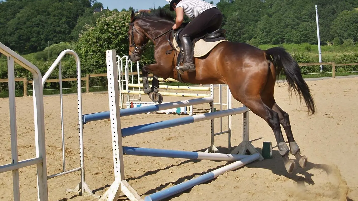 Club Hippique - Lescar - saut