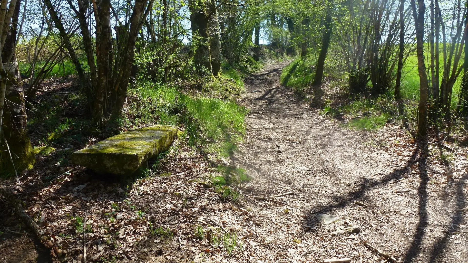 sentier Aureil