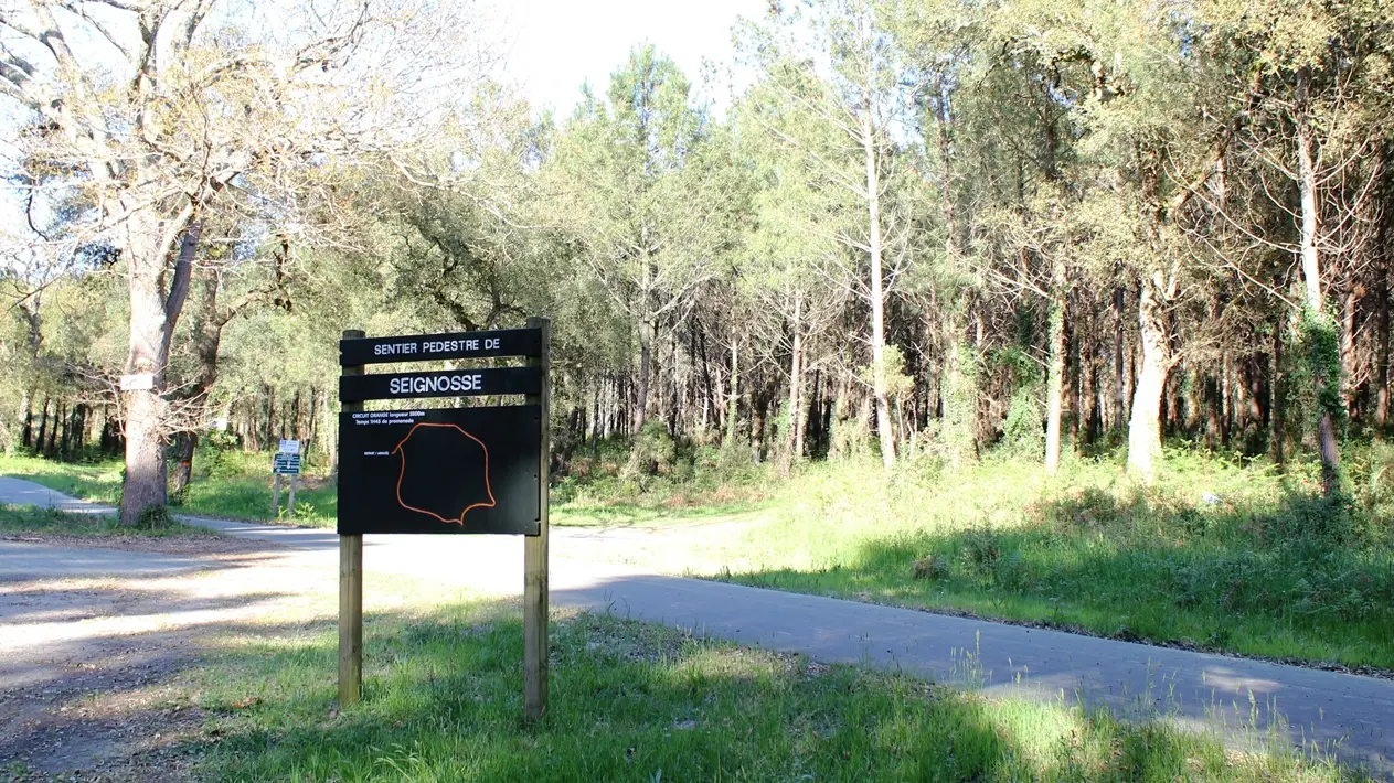 randonnée sur le sentier de la palombière