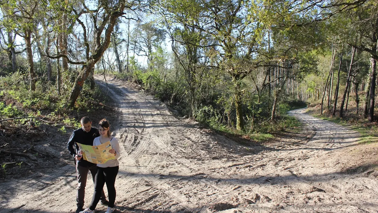 randonnée sur le sentier de la palombière