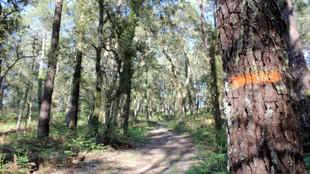 randonnée sur le sentier de la palombière