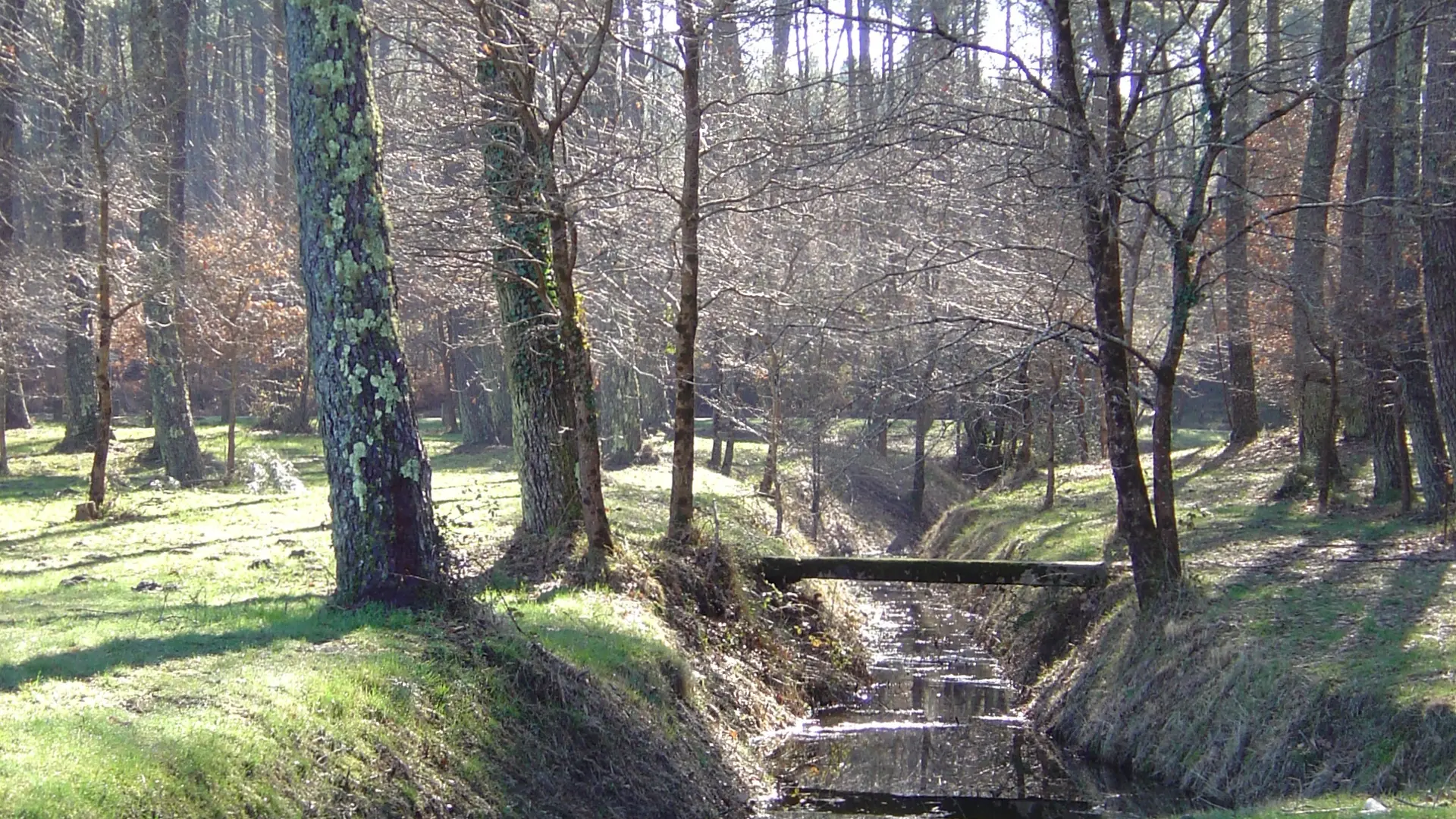 sentier de Bias (1)