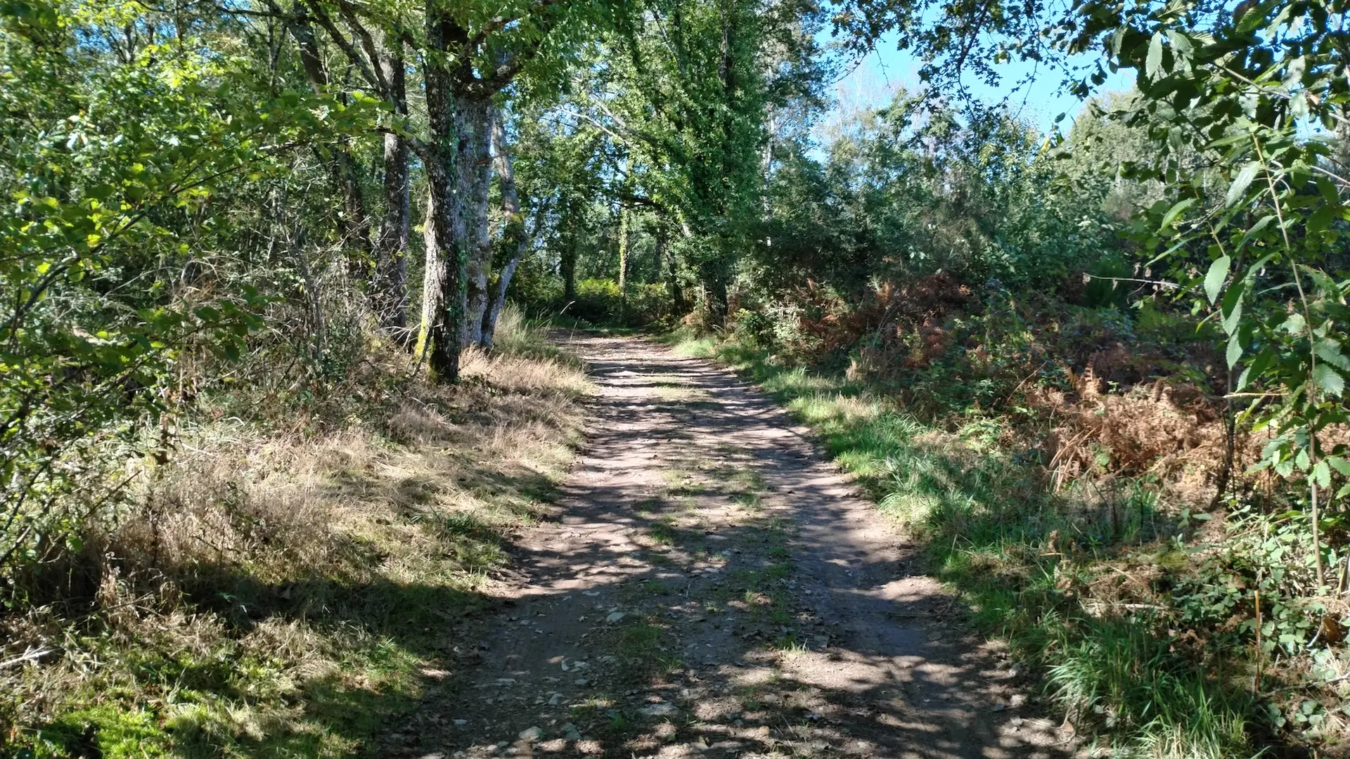 sentier les Cars