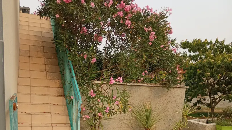 Chambre Cbre d'hôtes NC Lardière St Palais