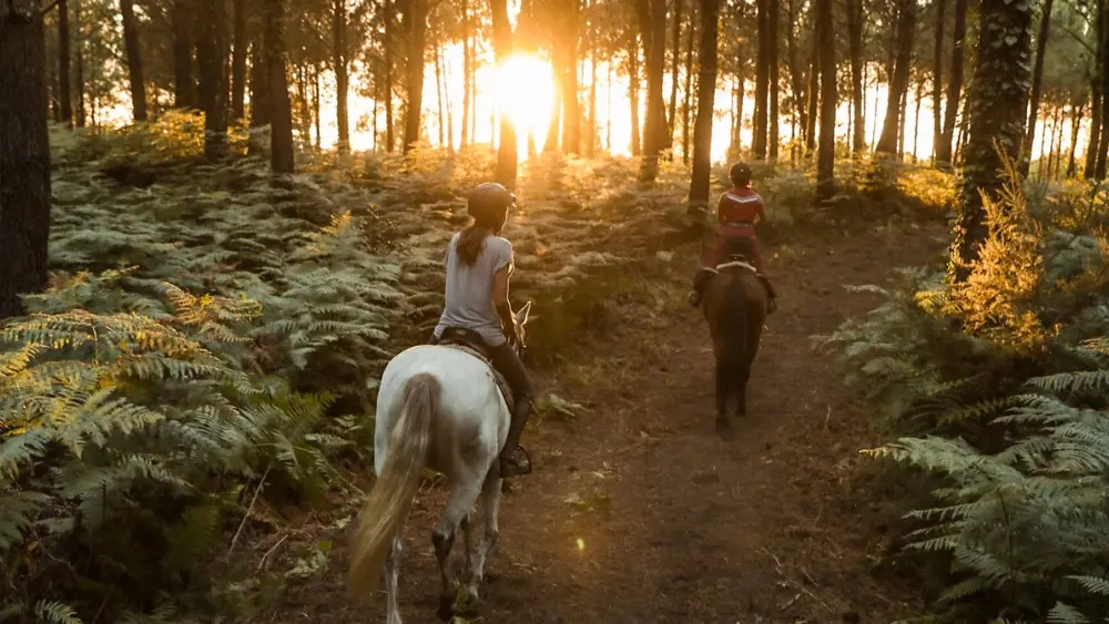 Sunset ranch seignosse