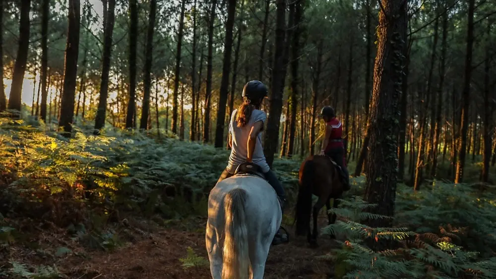 Sunset ranch seignosse