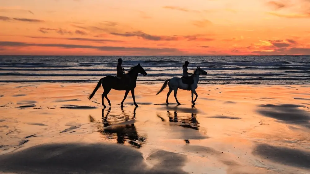 Sunset ranch seignosse