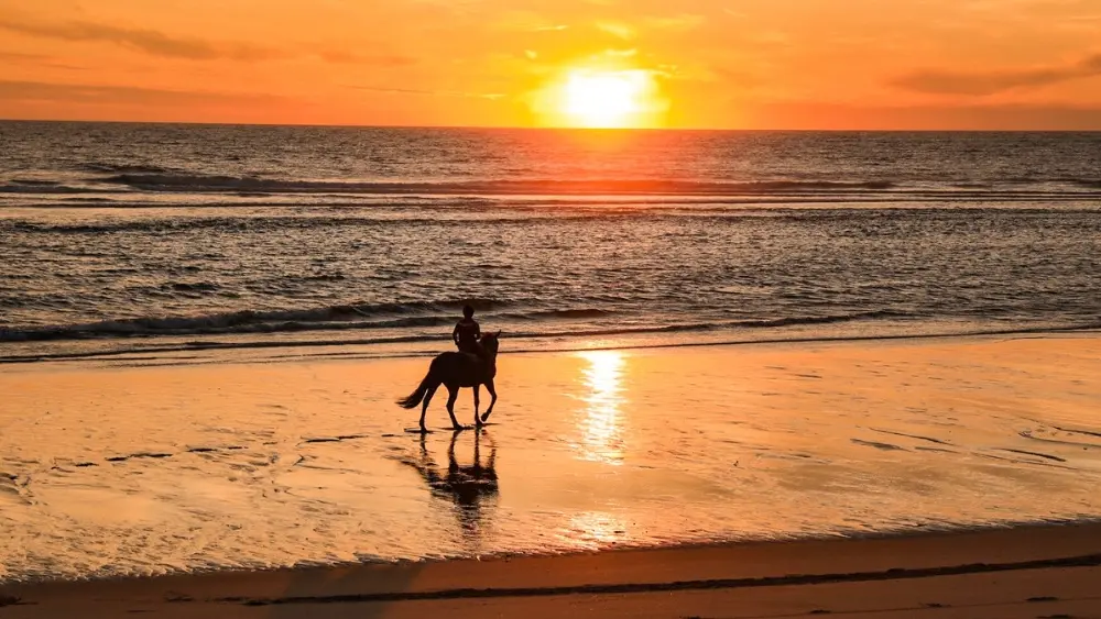 Sunset ranch seignosse
