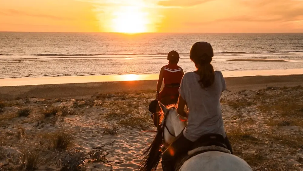 Sunset ranch seignosse