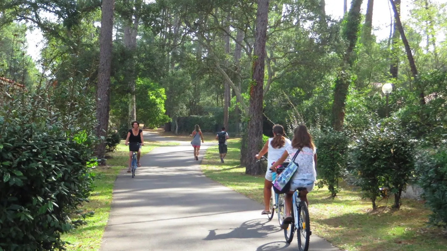 sur la vélodyssée à seignosse©seignossetourisme