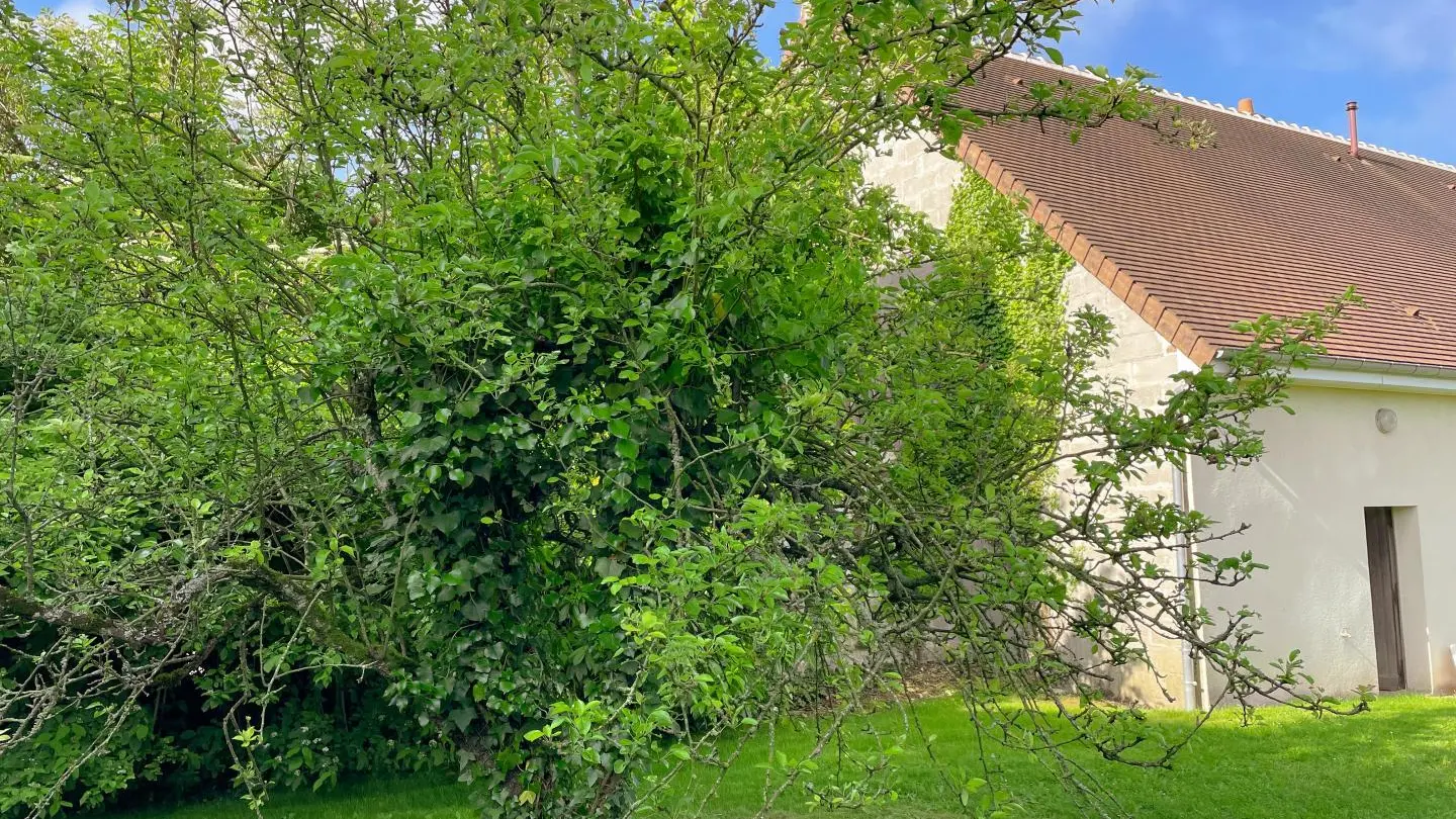 Le petit Gîte des Bigotteries_13