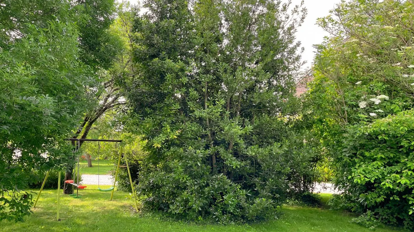 Le petit Gîte des Bigotteries_12