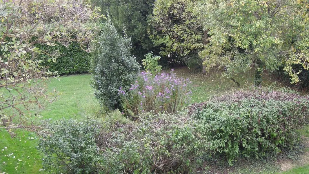 Le petit Gîte des Bigotteries_11