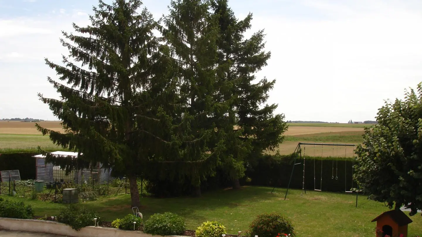 Aux Bordes_11