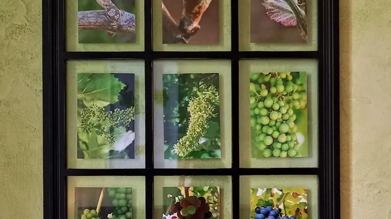 Le Clos du Vérêt_9