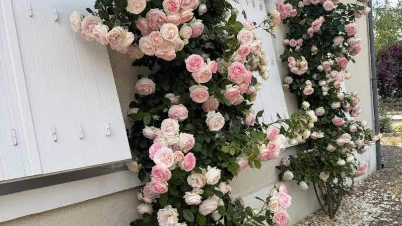 Clos de la Briqueterie_4