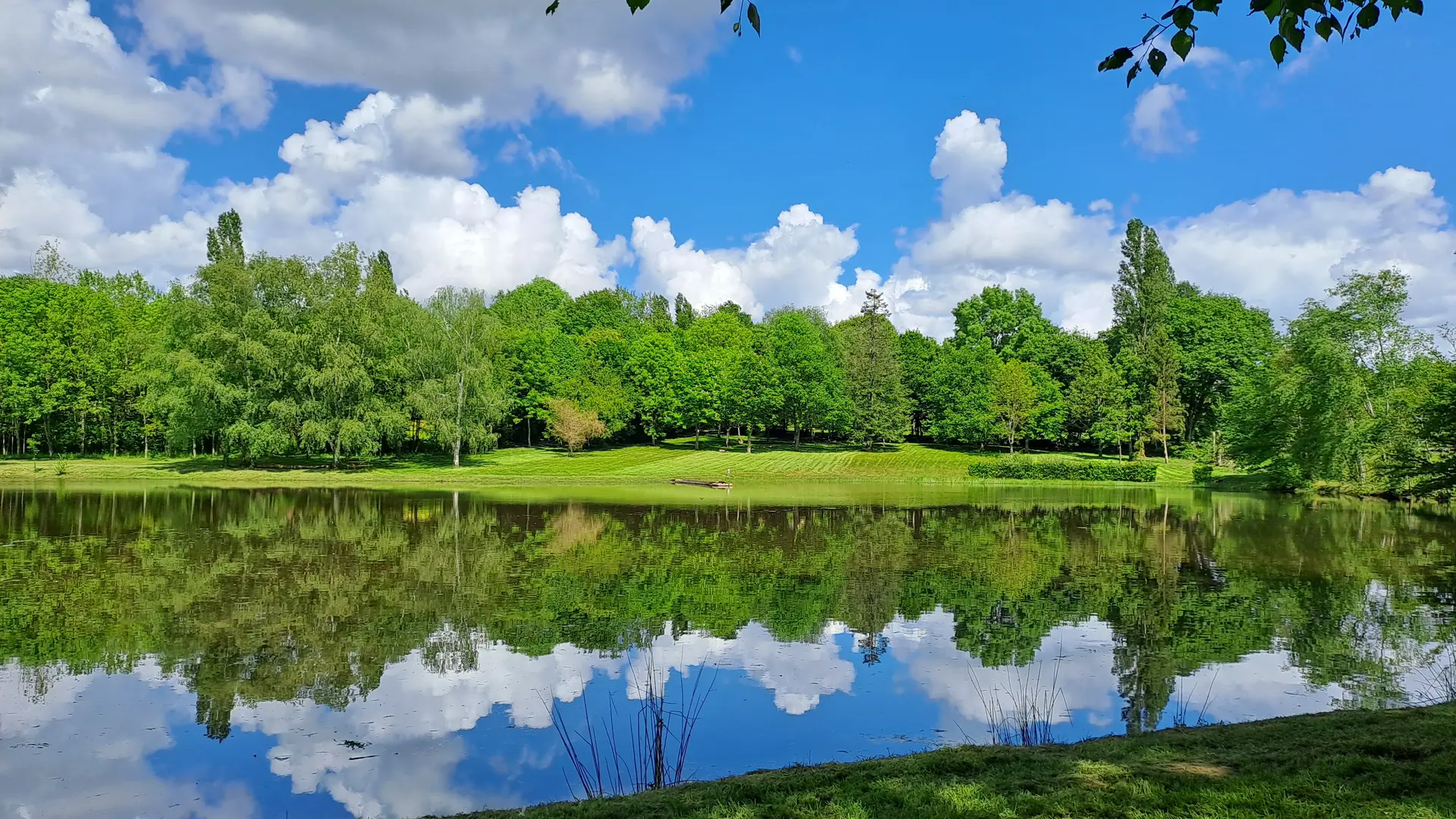 Gîte des étangs de Beaulieu - Domaine familial / étang