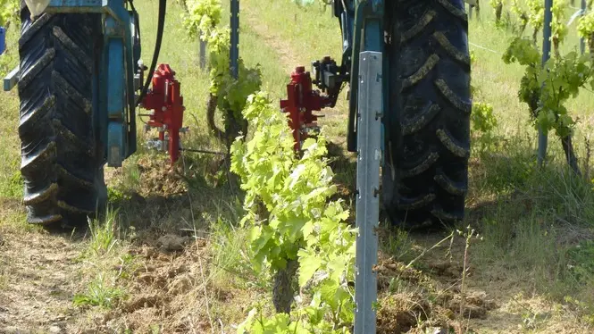domaine de la méchinière