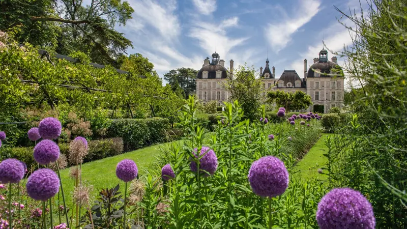 (294)ChâteaudeCheverny-jardindesapprentis2@digikode