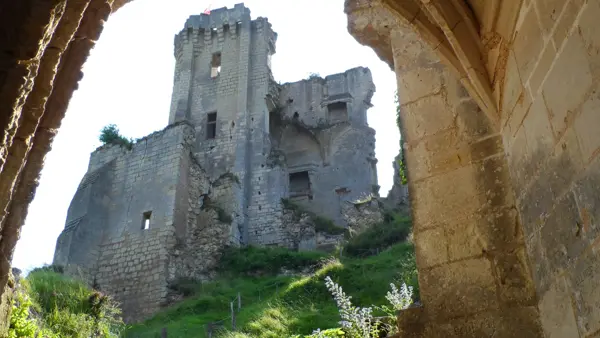 (50)chateau-lavardin©ADT41-C-Biore