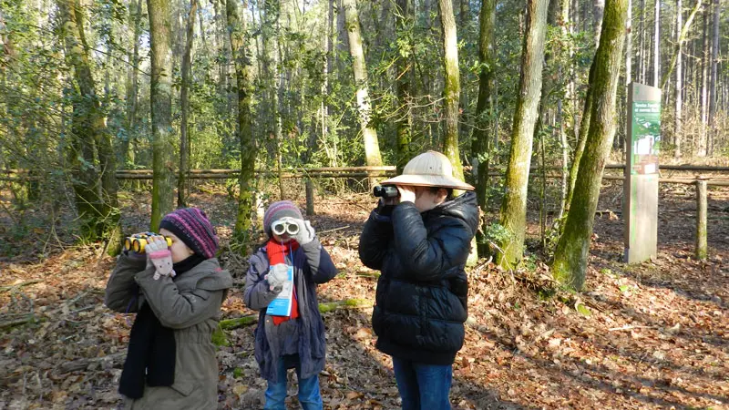 Circuit-Randoland-Bois-de-l'Oratoire-Vendome