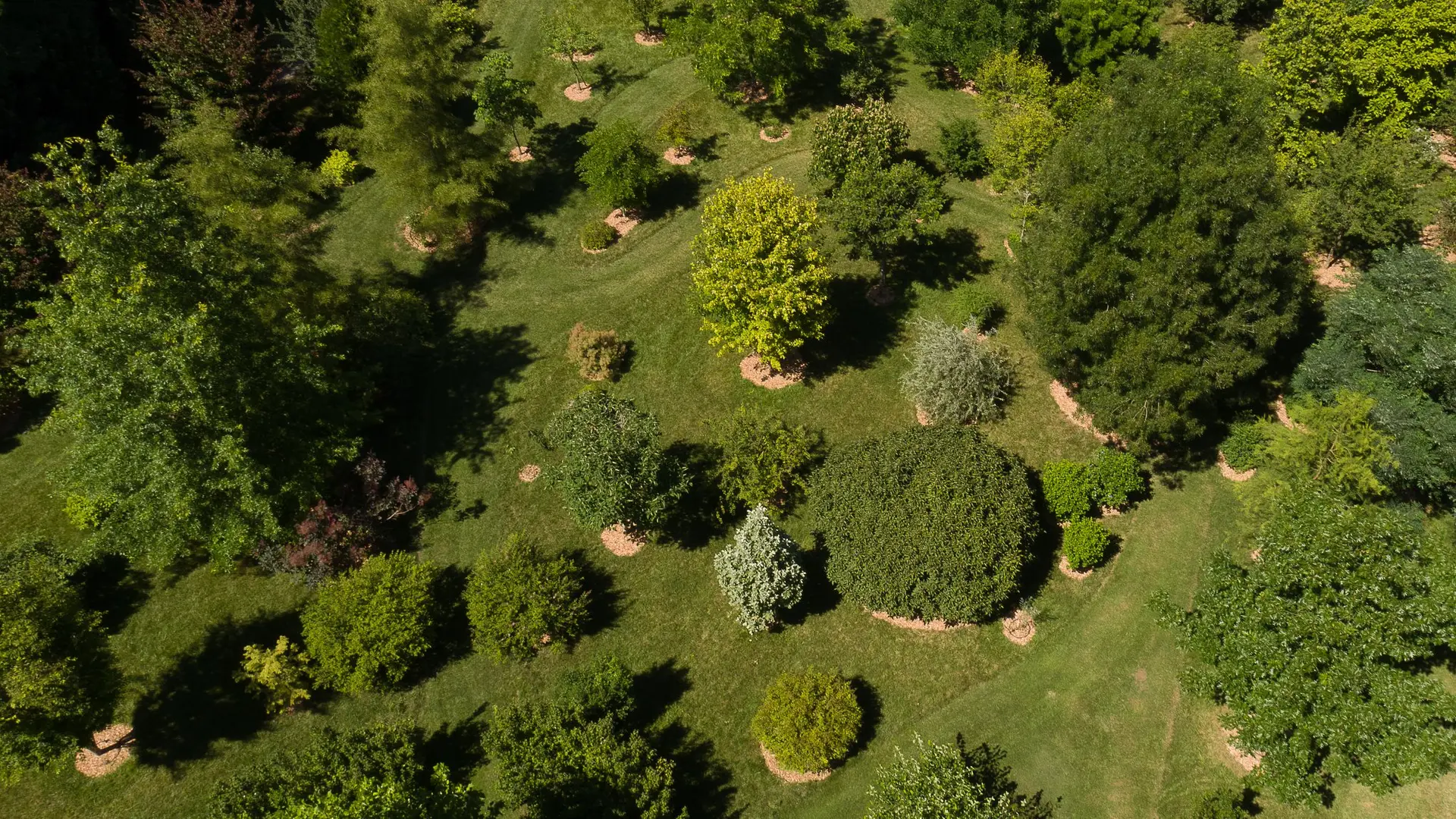 L'Arboretum