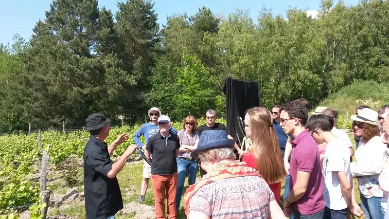 Visite vignoble