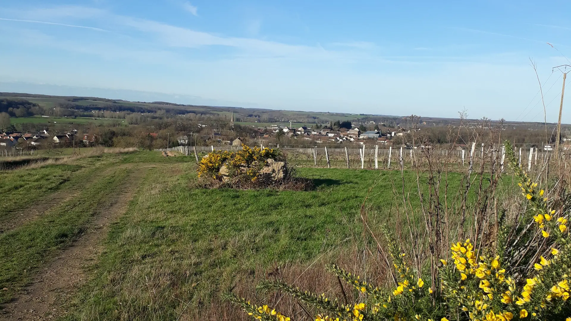Vue depuis le plateau de vignes