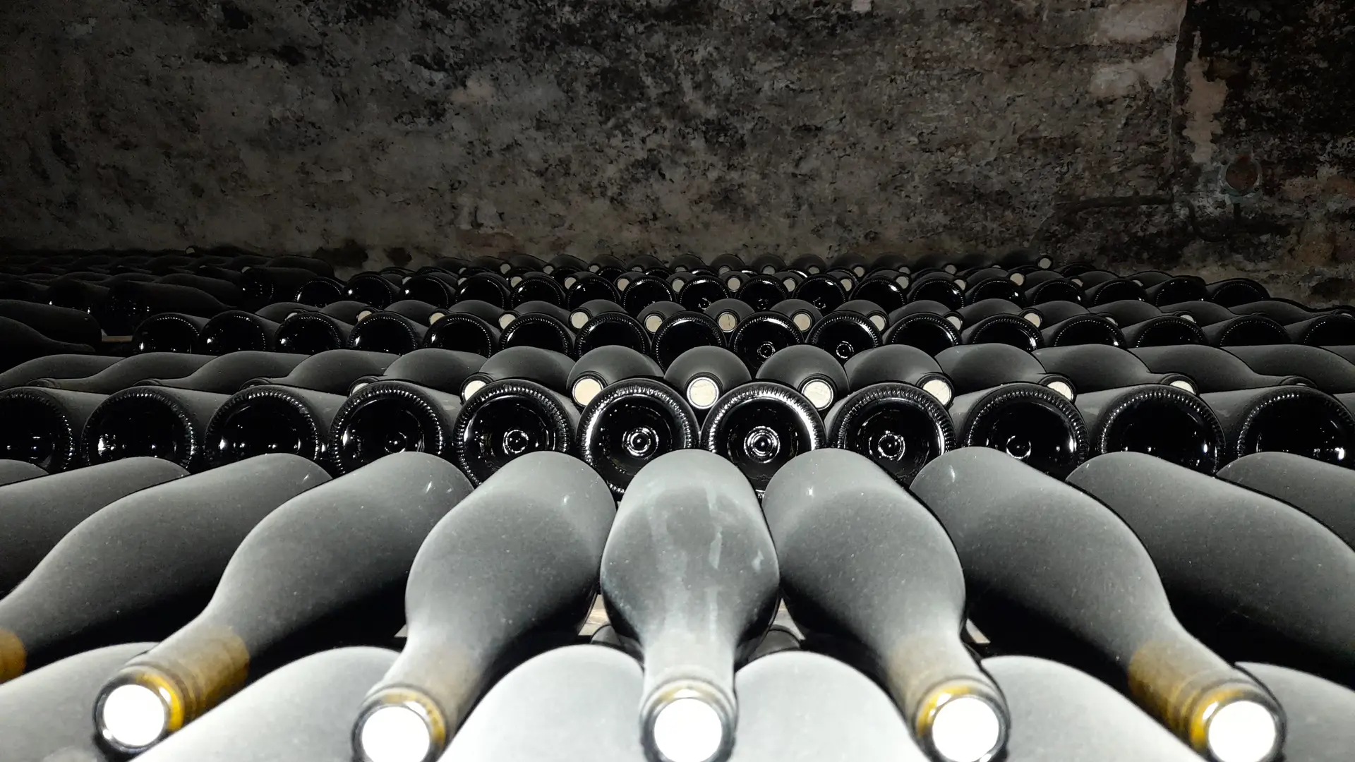 Domaine du Grand Moulin Seneau et Fils