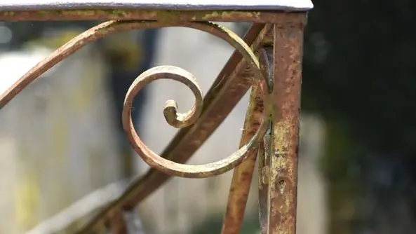 274749741_3107926169460467_5645868972901106427_n