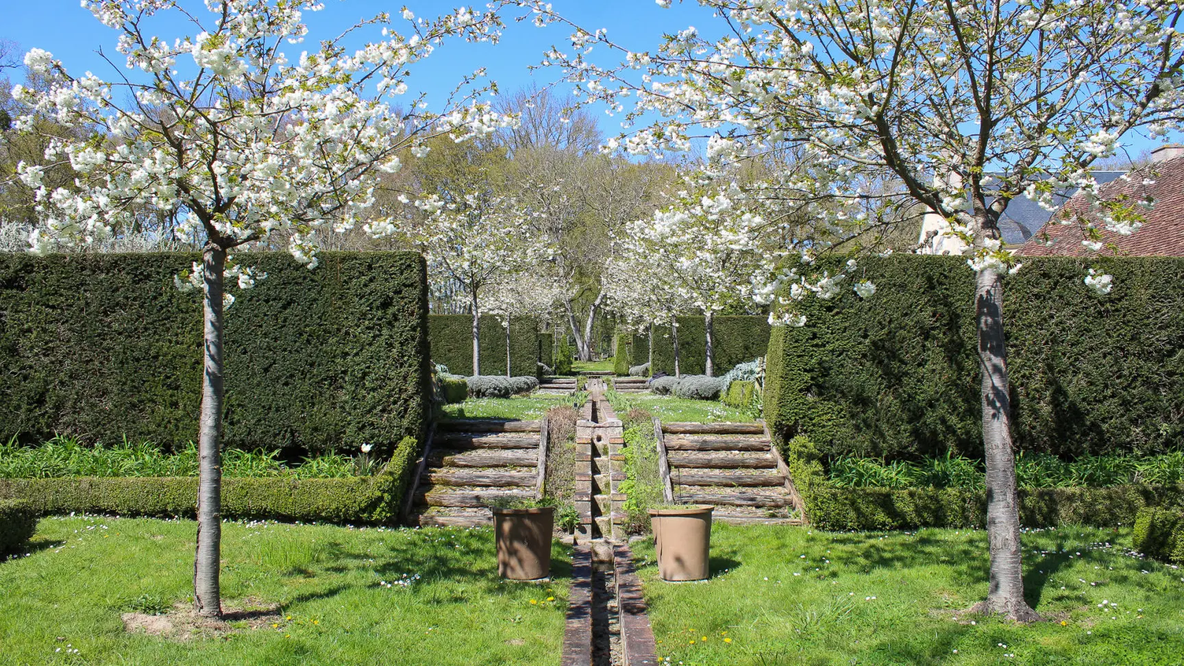 Chemin d'eau au printemps