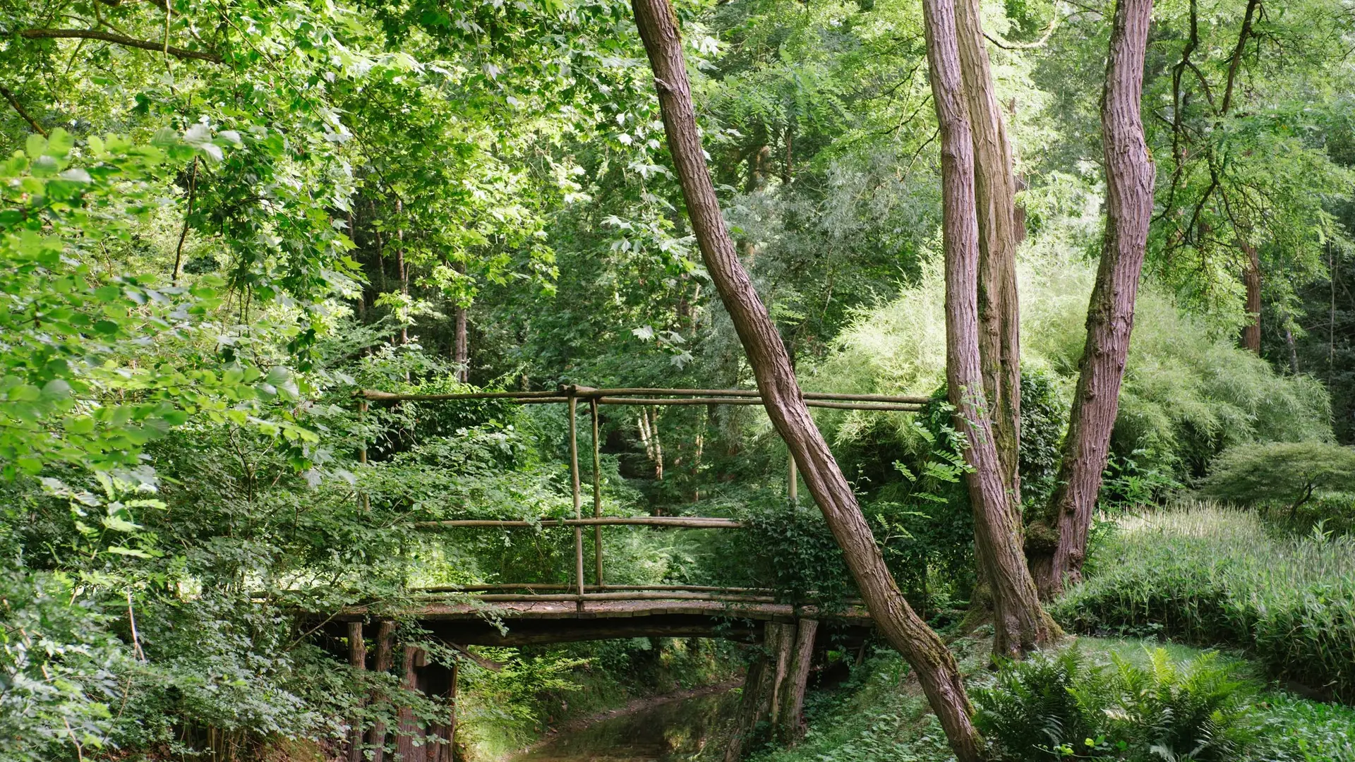 L'Arboretum