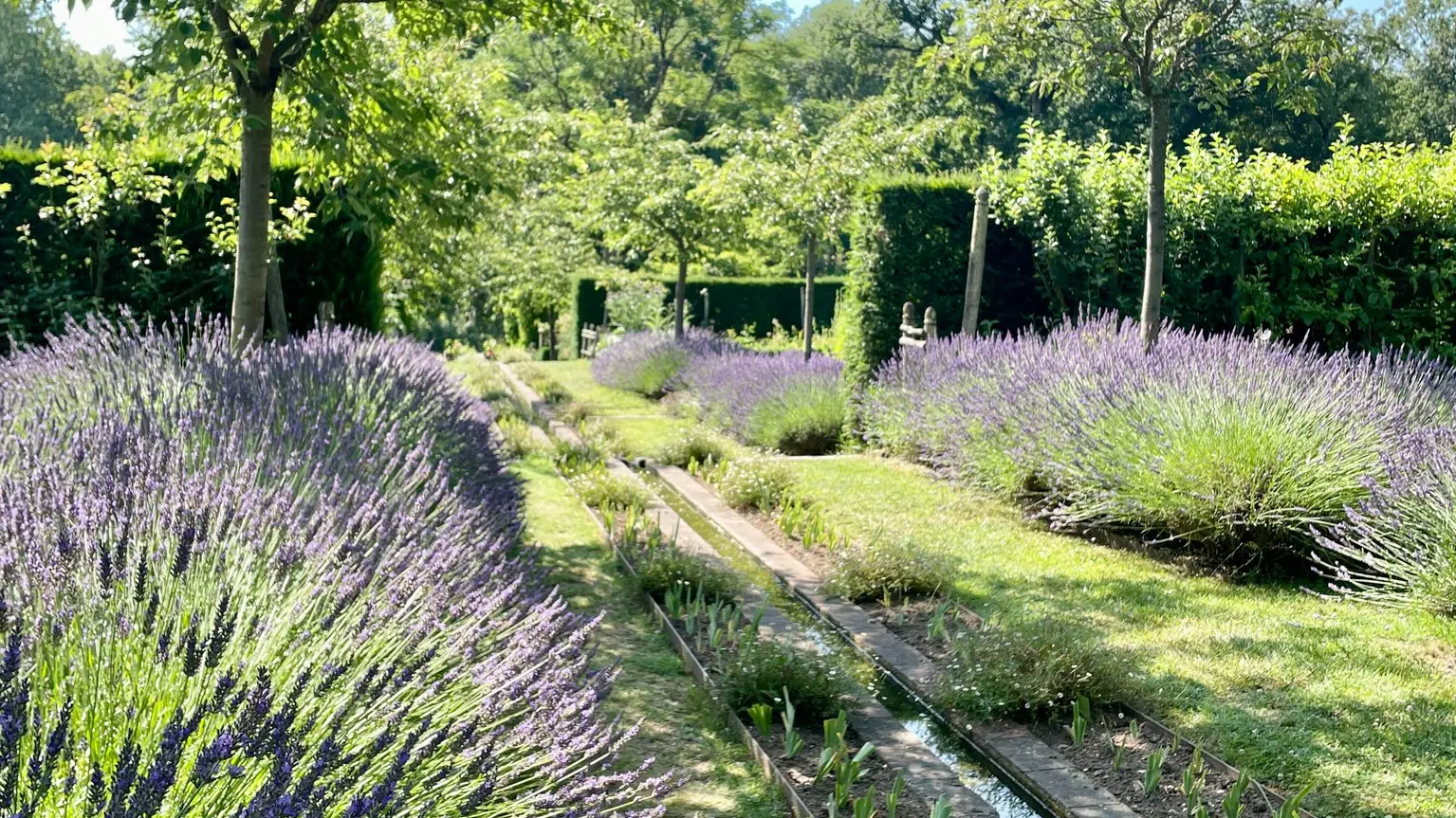 Chemin d'eau