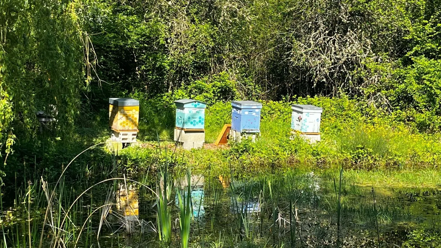 thumbnail_493699657_1349800206288154_3896663757681051802_n