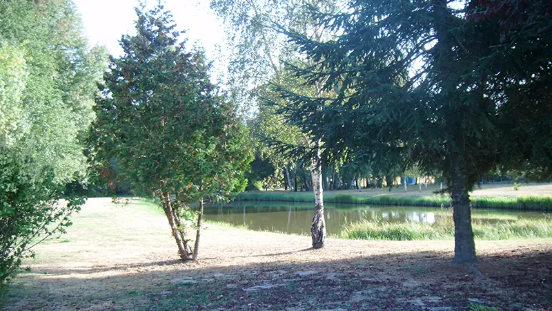 vue-etang-3