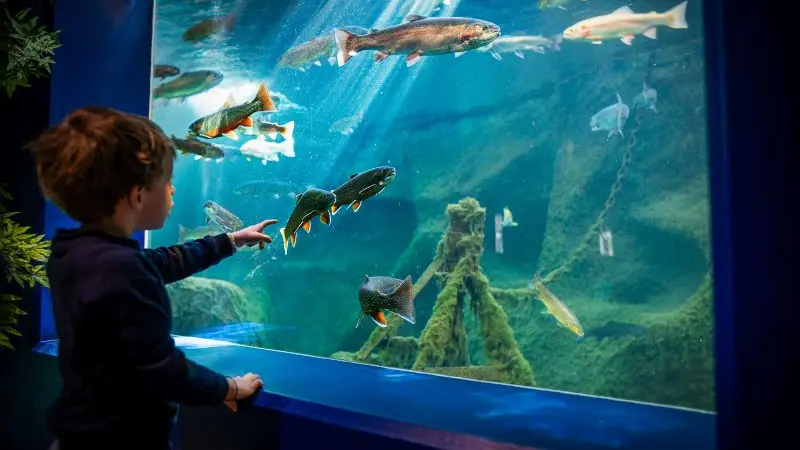 Aquarium_Touraine