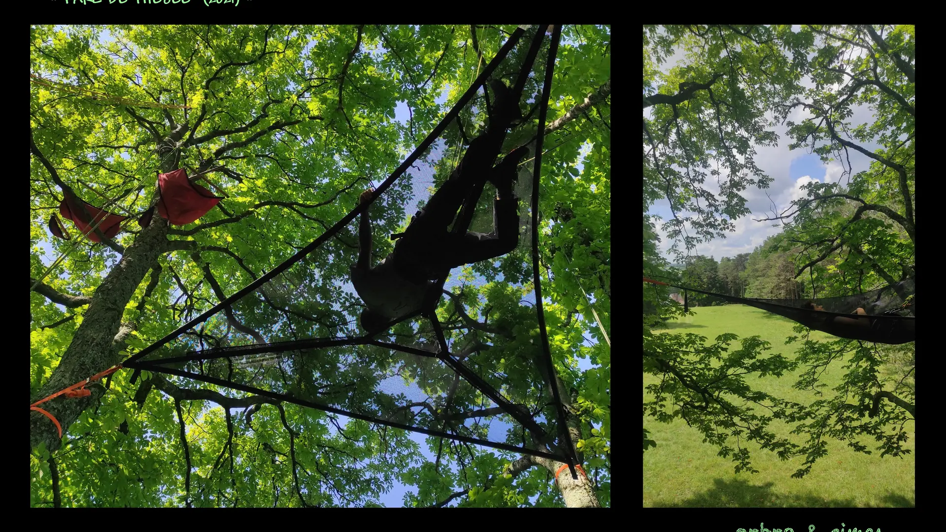 Arbre&cimes-grimpe-arbres