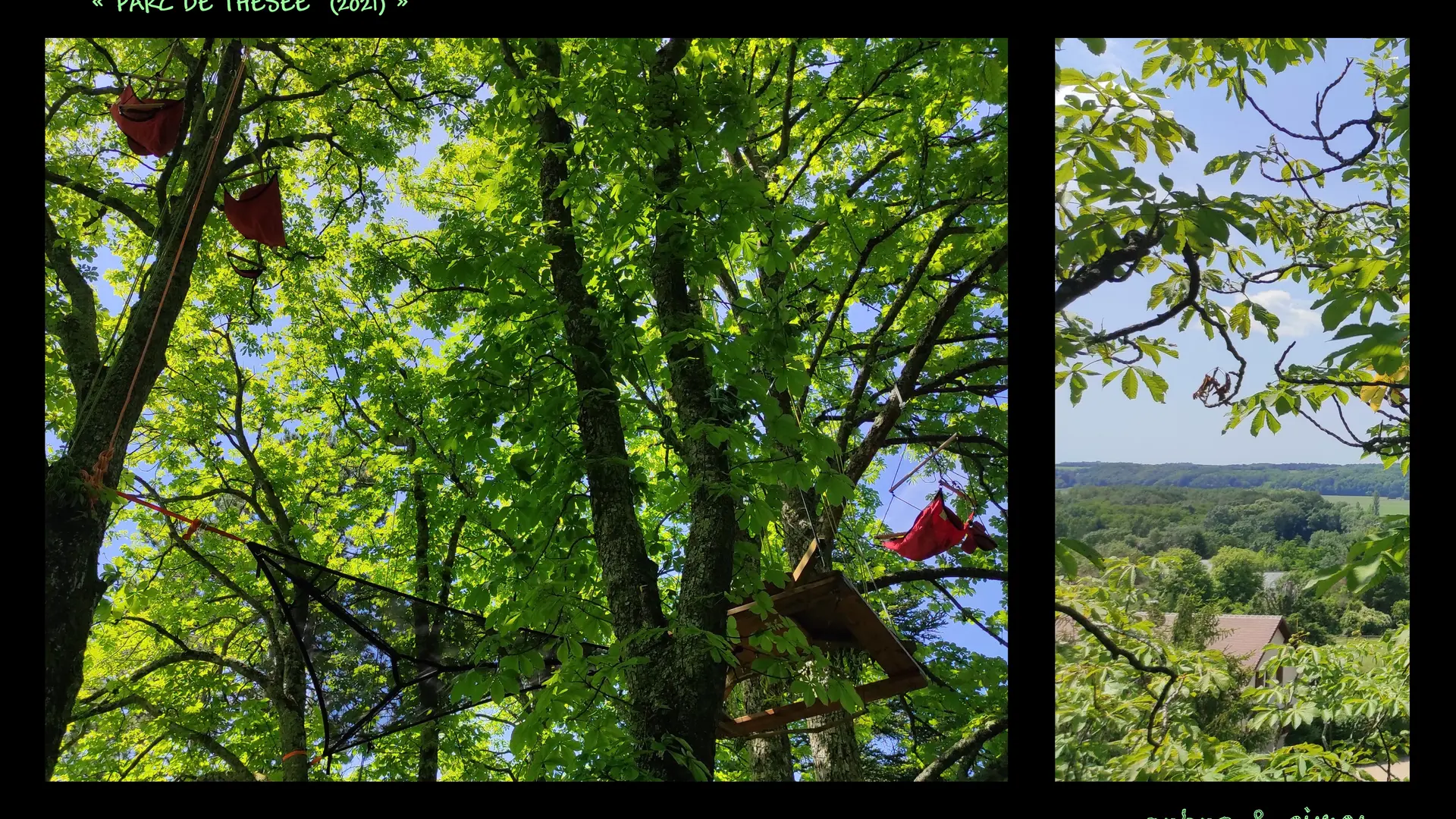 Arbre&cimes-grimpe-arbres