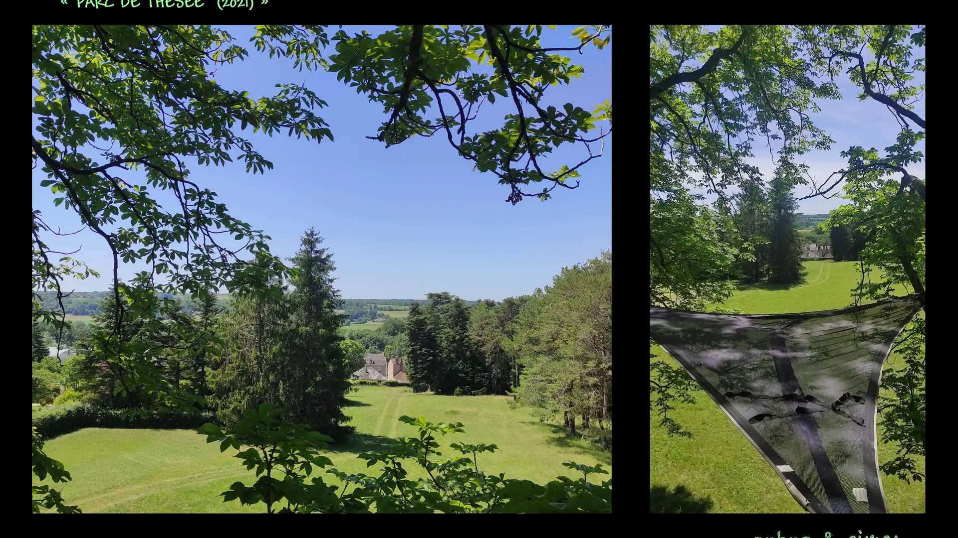 Arbre&cimes-grimpe-arbres