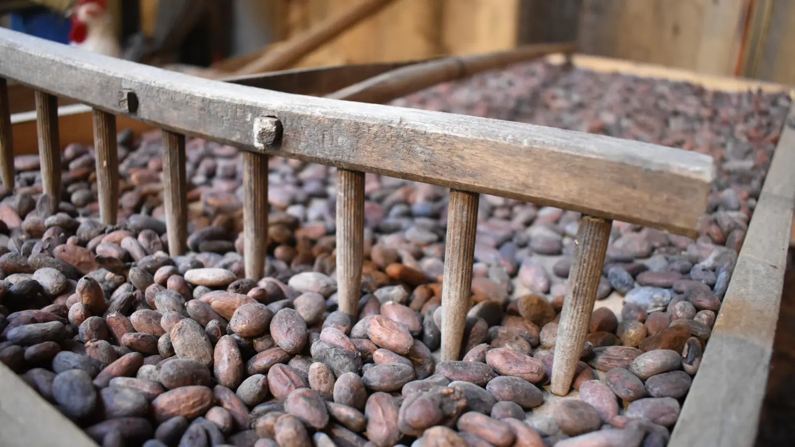 Banc de séchage